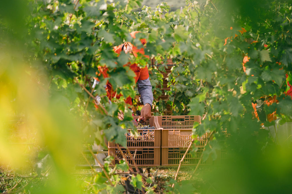 253792378_5266744623352635_8778794281633148110_n