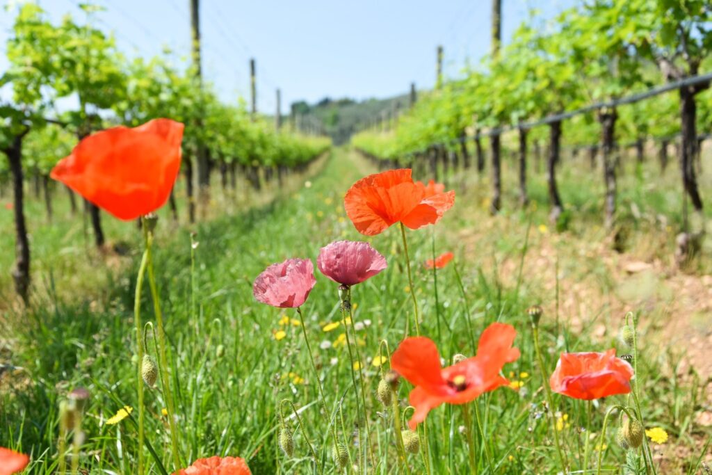 280842965_5898211000205991_8480932170771594636_n