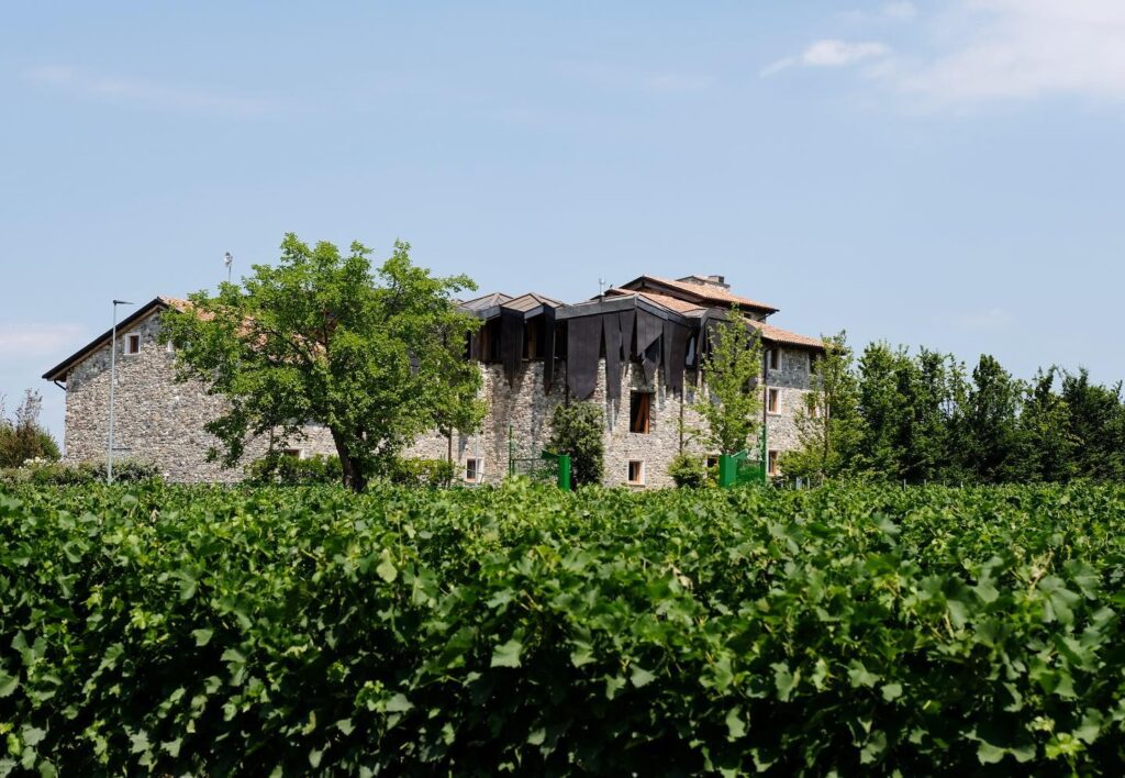 295087837_377756991160551_4011433620047476906_n