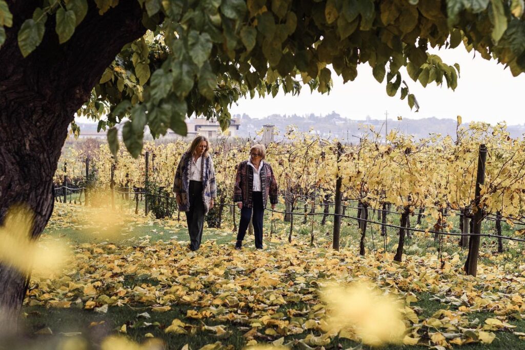 314422113_185157350710218_4979341087804454814_n