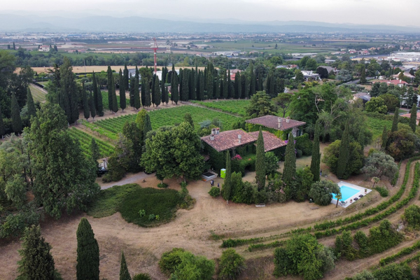 Le Vigne di san Pietro