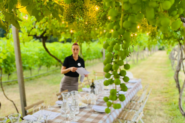Le Vigne di san Pietro