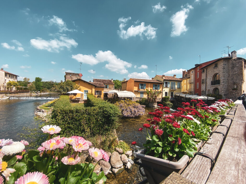 52034679609_8487d06a7d_k