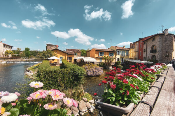 52034679609_8487d06a7d_k 52034679609_8487d06a7d_k