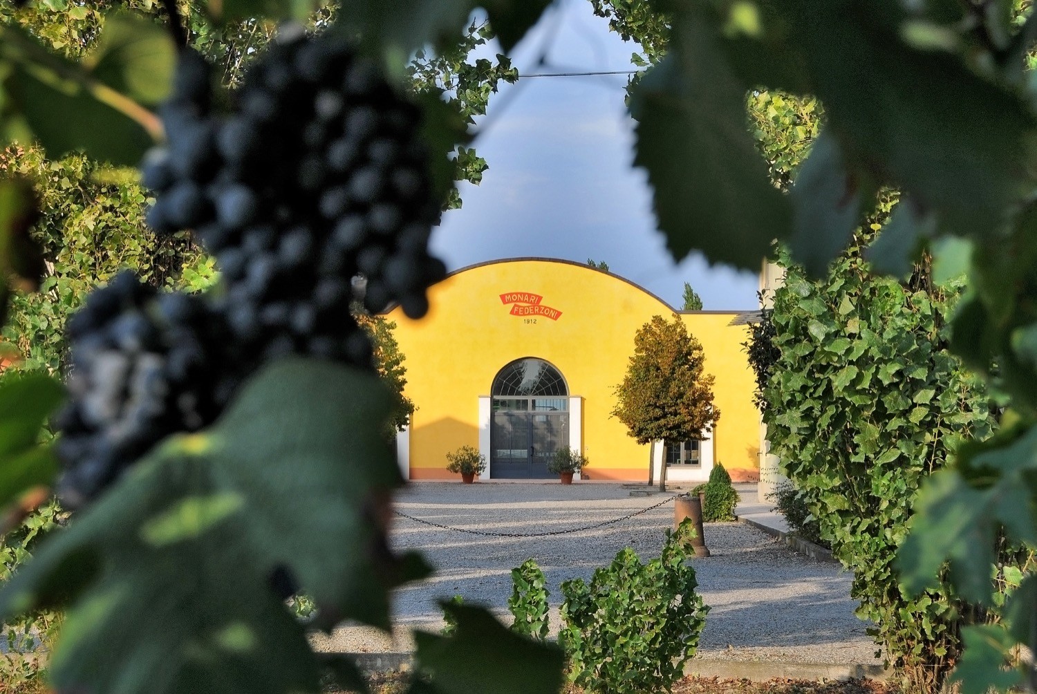 Alla scoperta del miglior Aceto Balsamico: una visita all’Acetificio Monari Federzoni