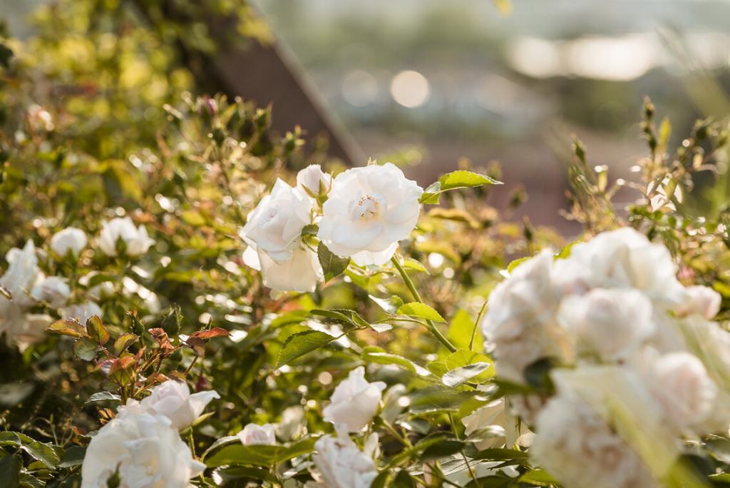 Fragment_EnjoySuite_FRM2273