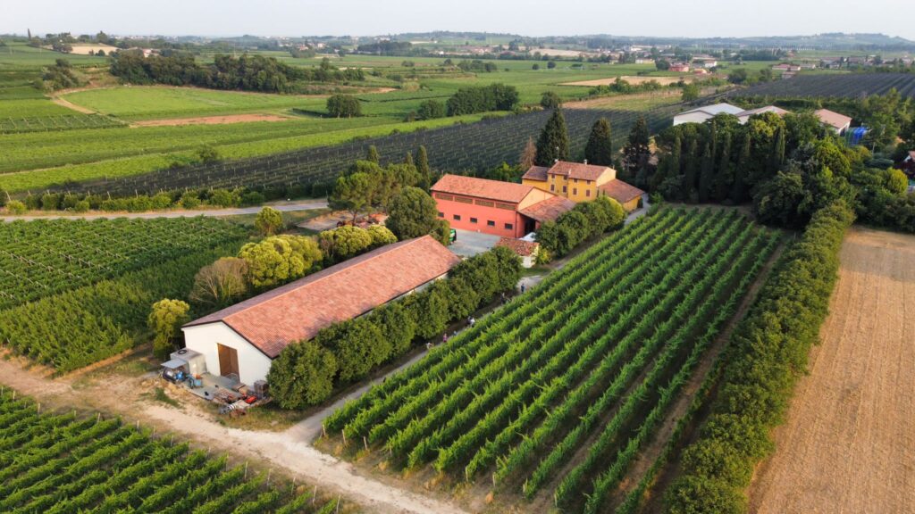 PHOTO-2022-06-16-08-15-15