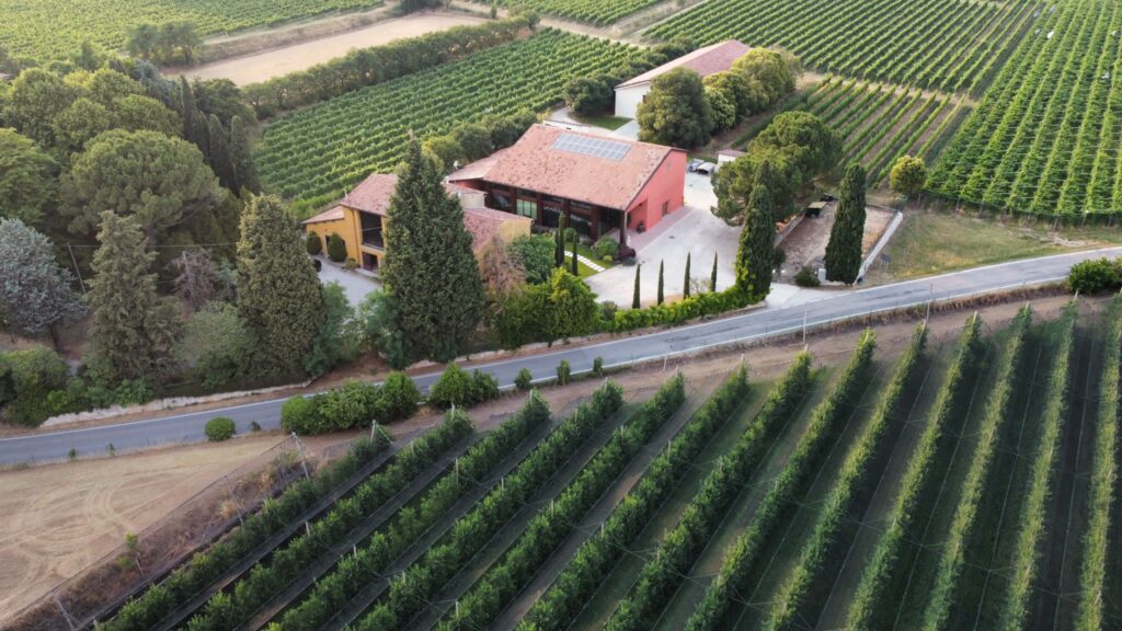 PHOTO-2022-06-16-08-15-20 (3)