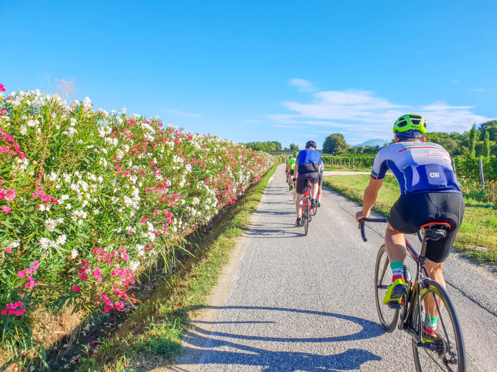 fiori_primavera_ciclista (1)