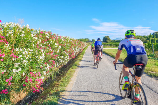 fiori_primavera_ciclista (1) fiori_primavera_ciclista (1)