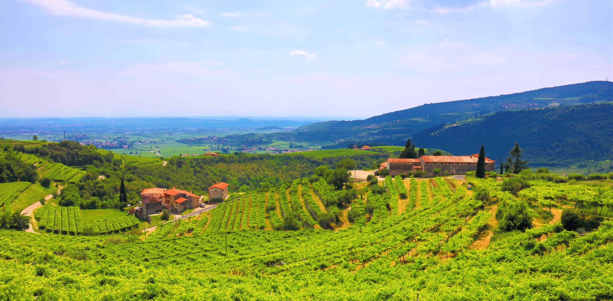 Cantine “partner” consigliate