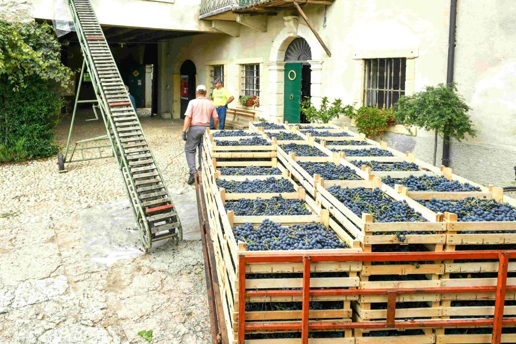 wine_experience_enjoy5